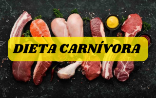 Dieta carnívora