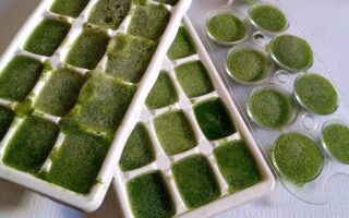 Receita de Cubos de Couve Congelado - Gelinho Detox!