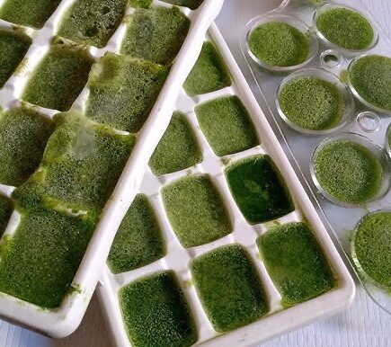 Receita de Cubos de Couve Congelado - Gelinho Detox!