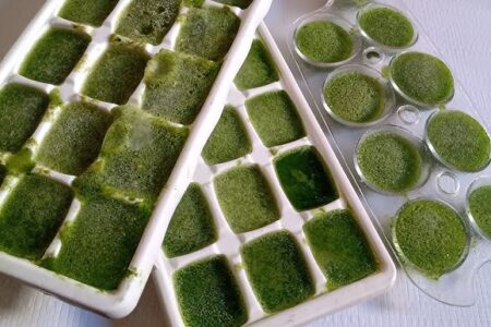 Receita de Cubos de Couve Congelado - Gelinho Detox!