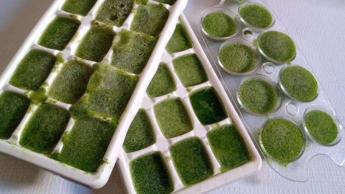 Receita de Cubos de Couve Congelado - Gelinho Detox!