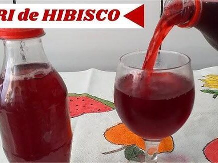 Receita de Refrigerante de Hibisco