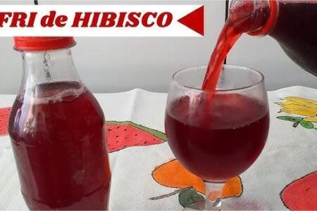Receita de Refrigerante de Hibisco