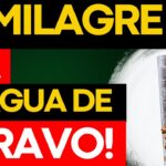 Receita de Água de Cravo no Jejum