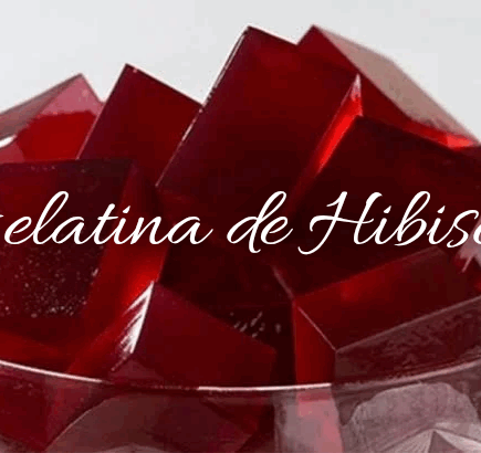 Receita de Gelatina de Hibisco