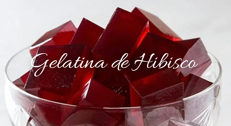 Receita de Gelatina de Hibisco