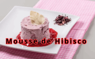 Mousse de Hibisco