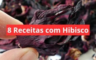 8 Receitas com Hibisco - APRENDA AGORA MESMO!
