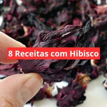 8 Receitas com Hibisco - APRENDA AGORA MESMO!