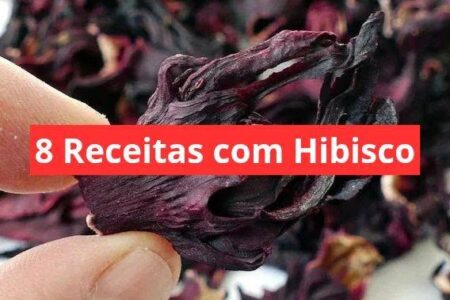 8 Receitas com Hibisco - APRENDA AGORA MESMO!