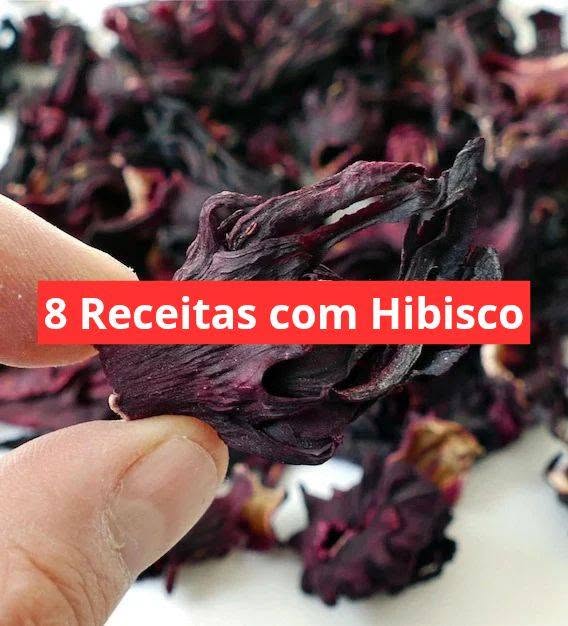 8 Receitas com Hibisco - APRENDA AGORA MESMO!