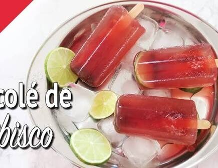 Receita de Picolé de Hibisco Fit