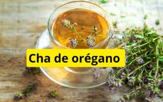 Chá de Orégano - Receita para o Jejum