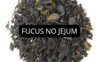 Como usar Fucus no Jejum - Chá de Algas Marinhas