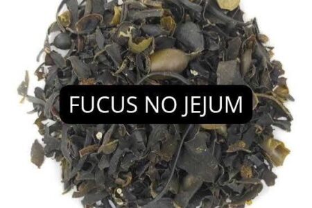 Como usar Fucus no Jejum - Chá de Algas Marinhas