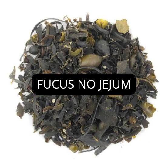 Como usar Fucus no Jejum - Chá de Algas Marinhas