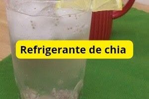 Receita de Refrigerante de Chia - Refri Saudável!!!!